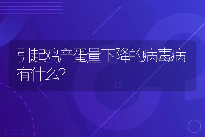 引起鸡产蛋量下降的病毒病有什么？ | 家禽养殖