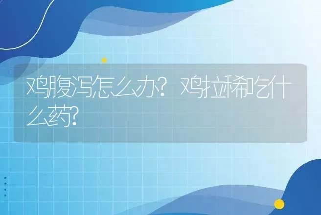 鸡腹泻怎么办?鸡拉稀吃什么药? | 兽医知识大全