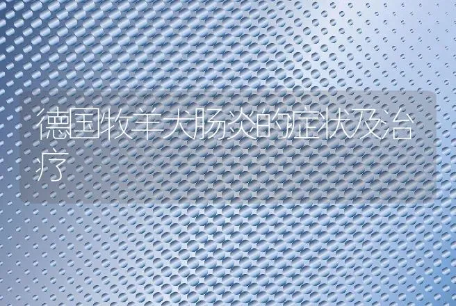 德国牧羊犬肠炎的症状及治疗 | 动物养殖