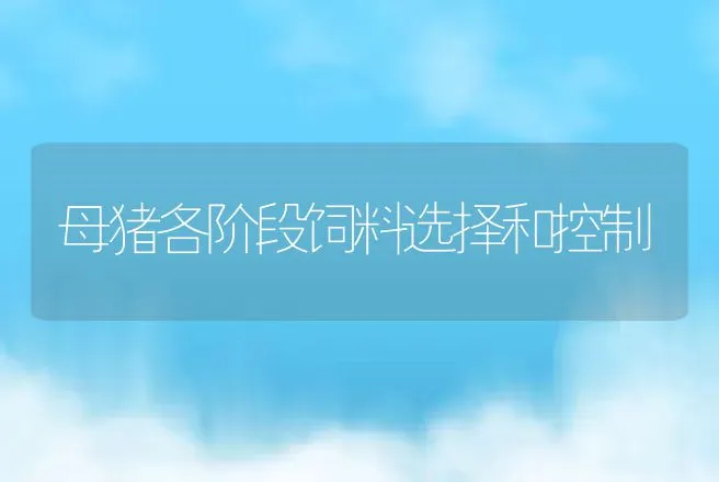 母猪各阶段饲料选择和控制 | 动物养殖