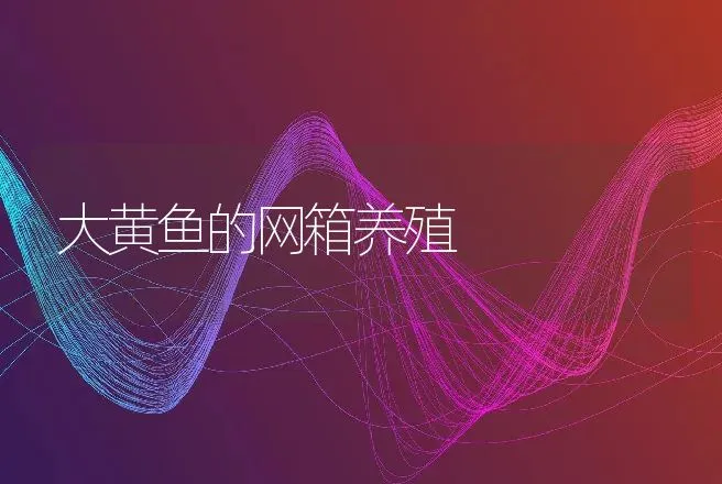 大黄鱼的网箱养殖 | 动物养殖