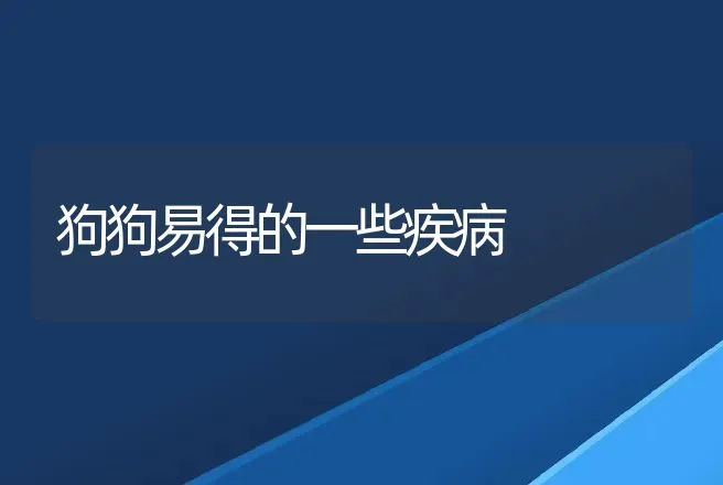 狗狗易得的一些疾病 | 动物养殖