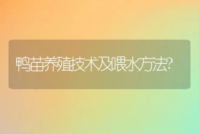 鸭苗养殖技术及喂水方法? | 家禽养殖