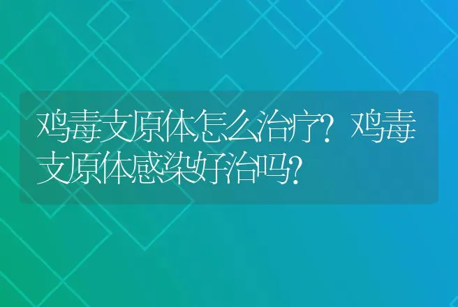 鸡毒支原体怎么治疗?鸡毒支原体感染好治吗? | 兽医知识大全