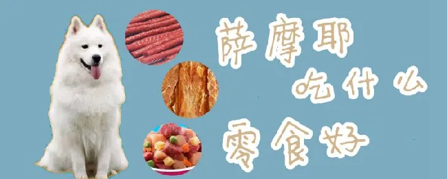 萨摩耶吃什么零食好 | 宠物病虫害防治