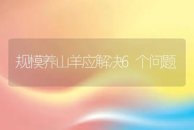 规模养山羊应解决6个问题 | 动物养殖