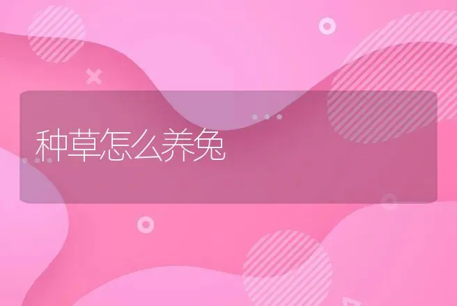 种草怎么养兔 | 动物养殖