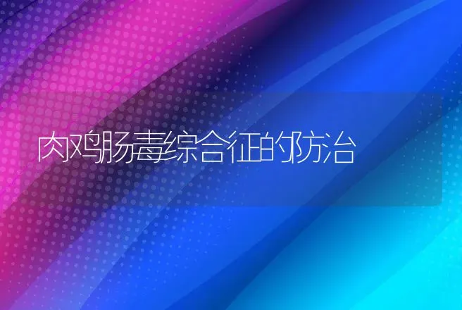 肉鸡肠毒综合征的防治 | 动物养殖