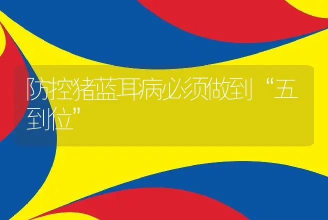 防控猪蓝耳病必须做到“五到位” | 兽医知识大全