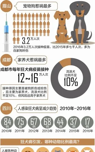 四川狂犬病死亡率100% 宠物狗引发狂犬病比例最高 | 宠物新闻资讯