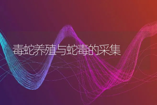 有效防治兔只葡萄球菌病 | 动物养殖