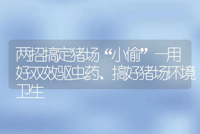 两招搞定猪场“小偷”—用好双效驱虫药、搞好猪场环境卫生 | 兽医知识大全