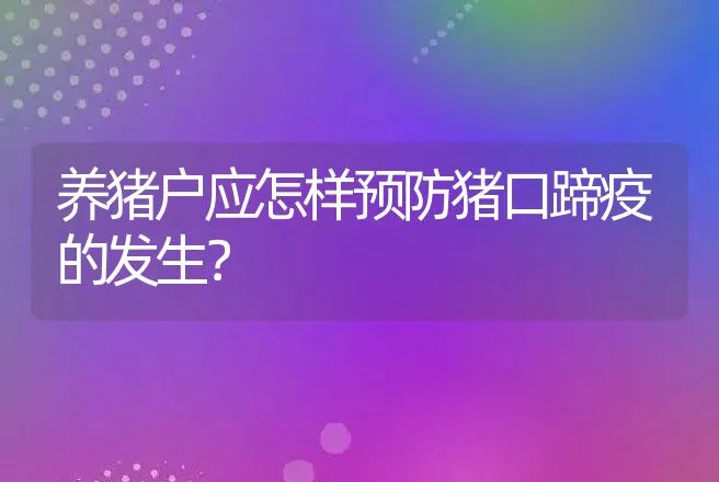 养猪户应怎样预防猪口蹄疫的发生？ | 动物养殖