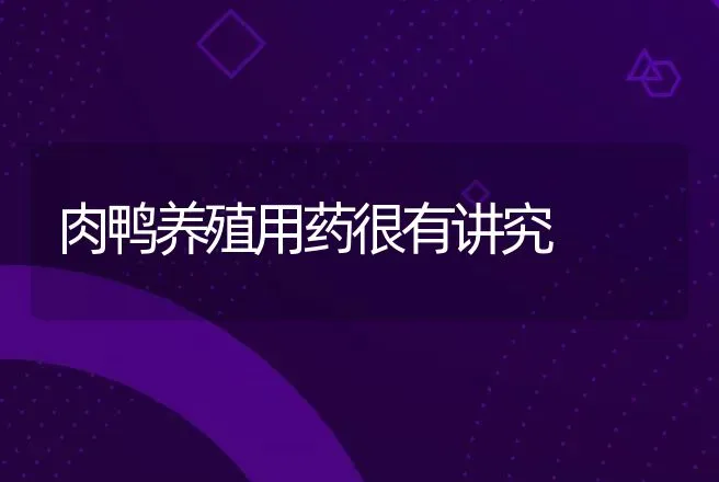 种公猪性欲低下怎么办 | 动物养殖