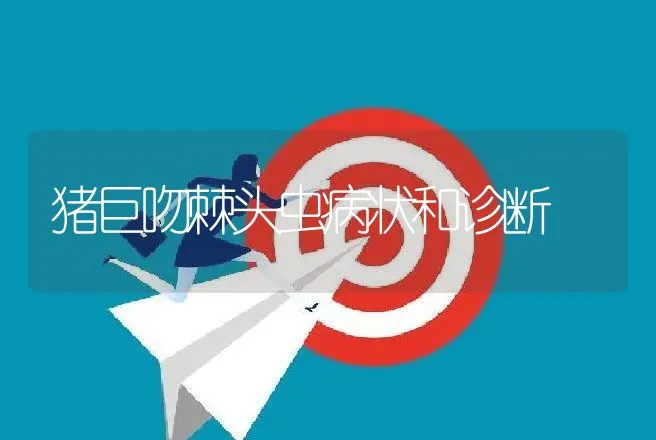 猪巨吻棘头虫病状和诊断 | 动物养殖