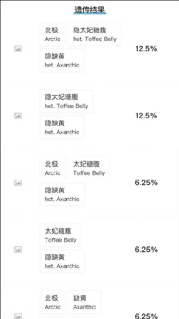 可爱呆萌会装死，你不知道的猪鼻蛇品系 —— 出人意料的“紫色冰晶” | 宠物训练技巧