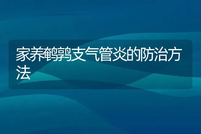 家养鹌鹑支气管炎的防治方法 | 动物养殖