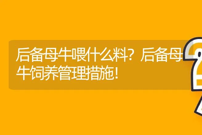 后备母牛喂什么料？后备母牛饲养管理措施！ | 家畜养殖