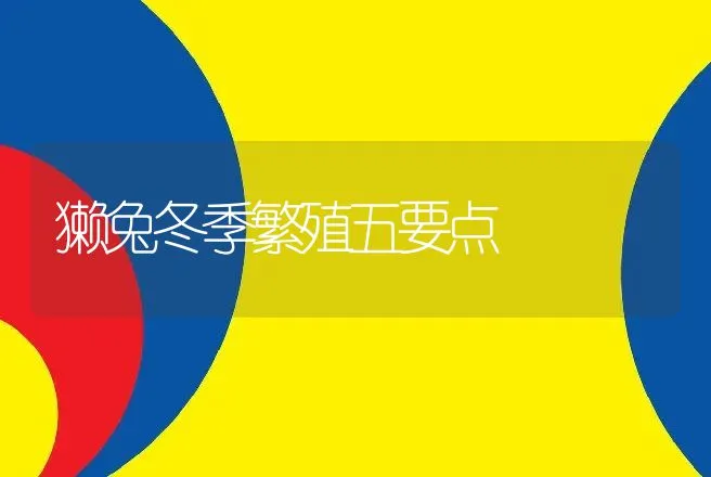 獭兔冬季繁殖五要点 | 动物养殖