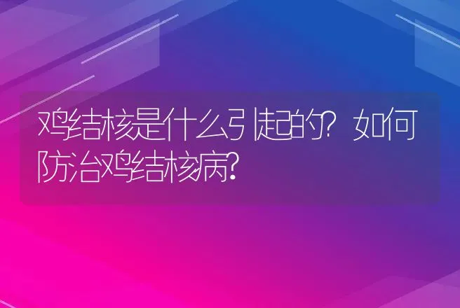 鸡结核是什么引起的？如何防治鸡结核病? | 兽医知识大全