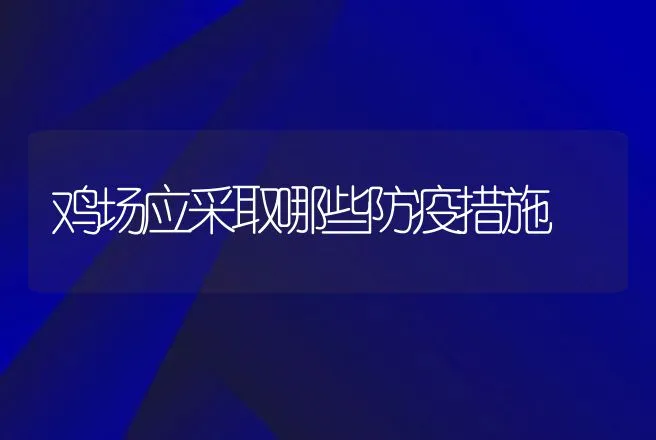 鸡场应采取哪些防疫措施 | 动物养殖