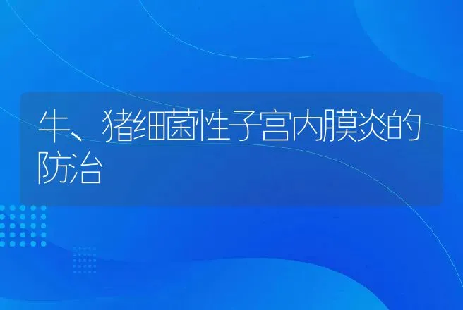 牛、猪细菌性子宫内膜炎的防治 | 动物养殖