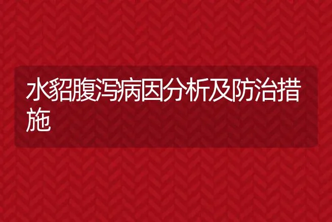 水貂腹泻病因分析及防治措施 | 兽医知识大全