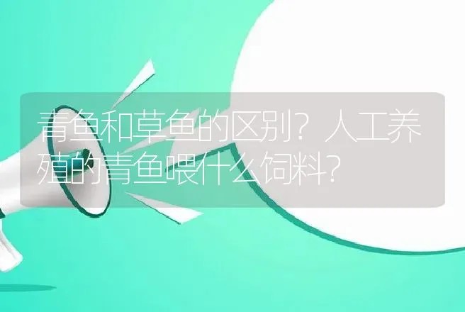 青鱼和草鱼的区别？人工养殖的青鱼喂什么饲料？ | 水产知识