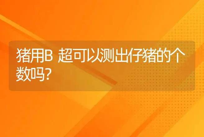 猪用B超可以测出仔猪的个数吗？ | 动物养殖