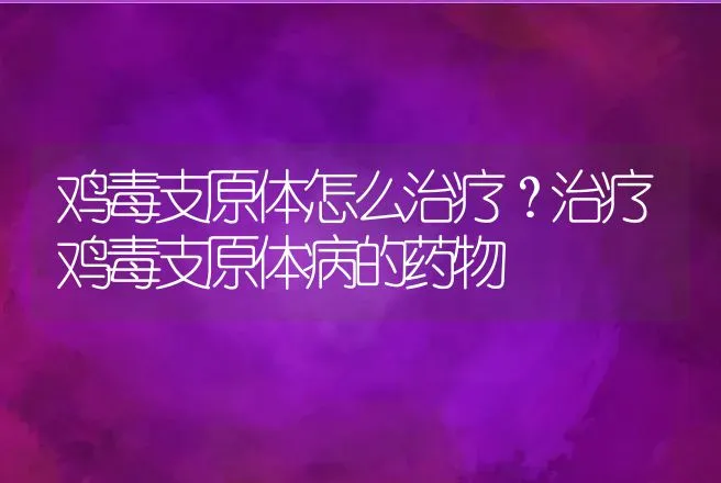 鸡毒支原体怎么治疗？治疗鸡毒支原体病的药物 | 兽医知识大全