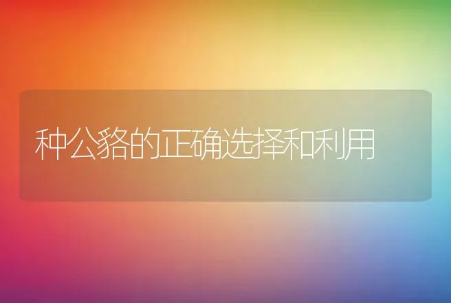 种公貉的正确选择和利用 | 动物养殖