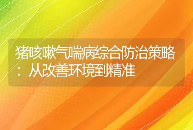 猪咳嗽气喘病综合防治策略：从改善环境到精准 | 家畜养殖