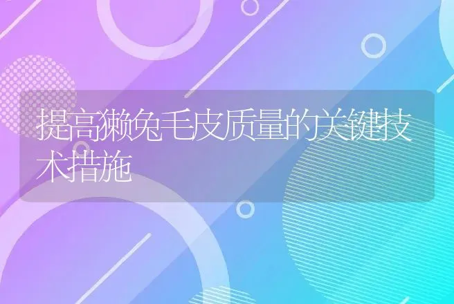 提高獭兔毛皮质量的关键技术措施 | 动物养殖