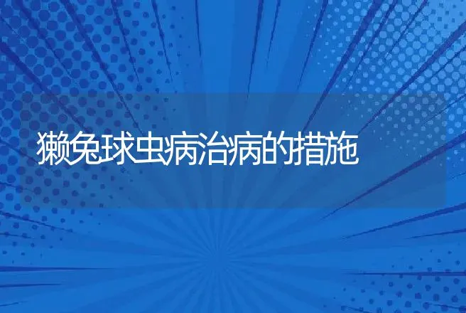 獭兔球虫病治病的措施 | 动物养殖