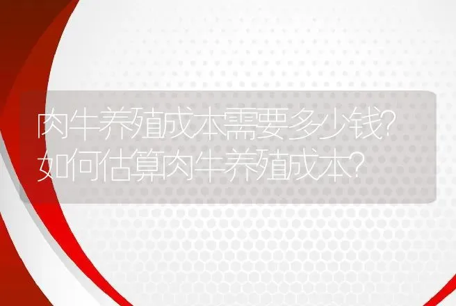 肉牛养殖成本需要多少钱？如何估算肉牛养殖成本？ | 家畜养殖