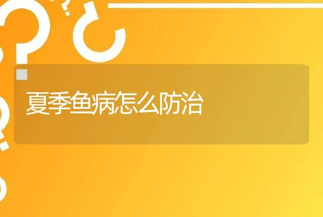 夏季鱼病怎么防治 | 动物养殖