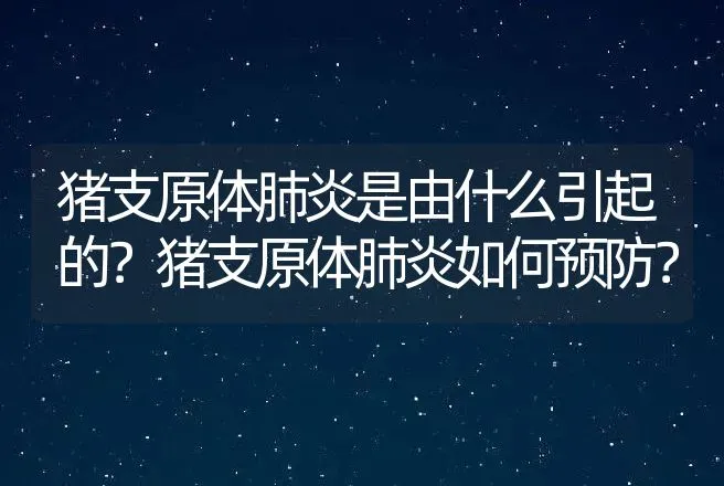 猪支原体肺炎是由什么引起的？猪支原体肺炎如何预防？ | 兽医知识大全