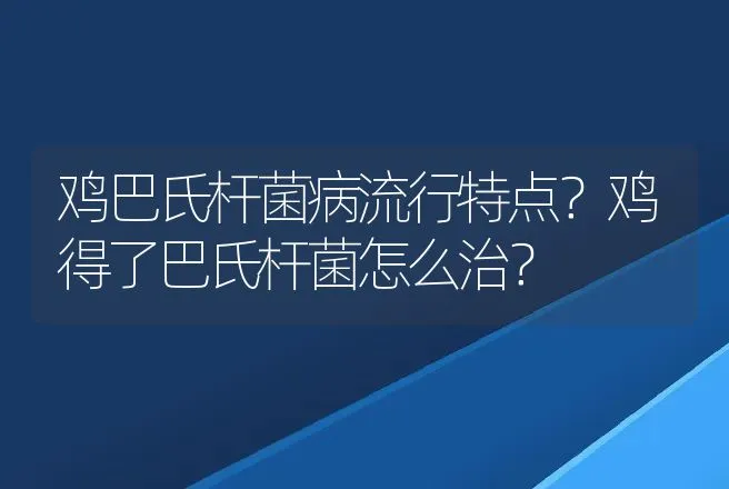 鸡巴氏杆菌病流行特点？鸡得了巴氏杆菌怎么治？ | 兽医知识大全