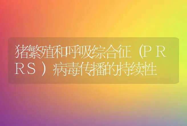 猪繁殖和呼吸综合征（PRRS）病毒传播的持续性 | 动物养殖