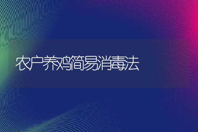 农户养鸡简易消毒法 | 动物养殖