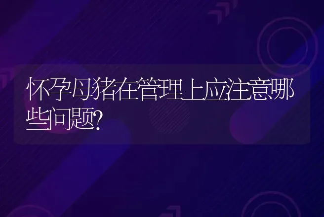 怀孕母猪在管理上应注意哪些问题？ | 动物养殖