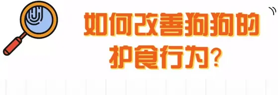 狗狗护食行为跟主人有很大的关系，应该如何改善？ | 宠物狗训练技巧