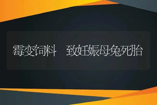 霉变饲料 致妊娠母兔死胎 | 动物养殖