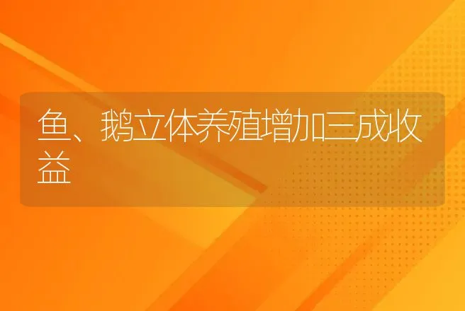 鱼、鹅立体养殖增加三成收益 | 动物养殖