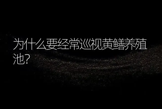 为什么要经常巡视黄鳝养殖池？ | 动物养殖