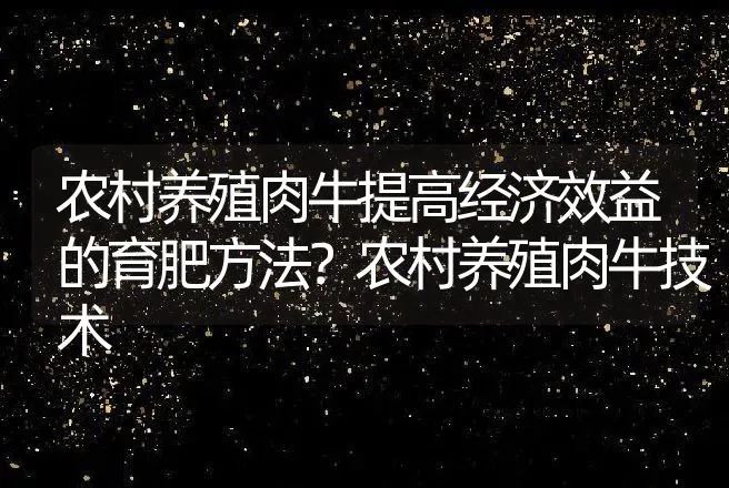 农村养殖肉牛提高经济效益的育肥方法？农村养殖肉牛技术 | 家畜养殖