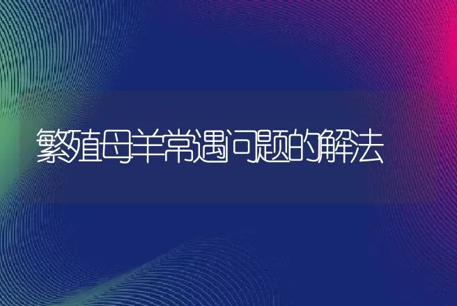 繁殖母羊常遇问题的解法 | 动物养殖