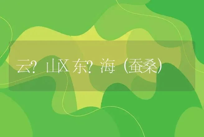 云?山X东?海（蚕桑） | 动物养殖