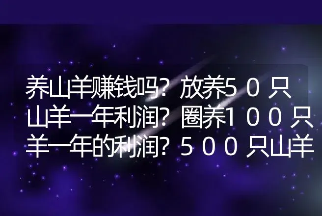 养山羊赚钱吗？放养50只山羊一年利润？圈养100只羊一年的利润？500只山羊养殖利润？ | 养殖致富