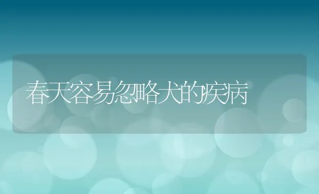 春天容易忽略犬的疾病 | 宠物趣闻